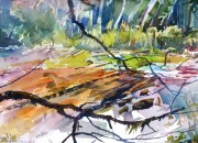 Cowichan River Vancouver Island water colour  10 x 14in